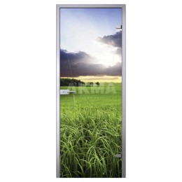 Print S57998620
